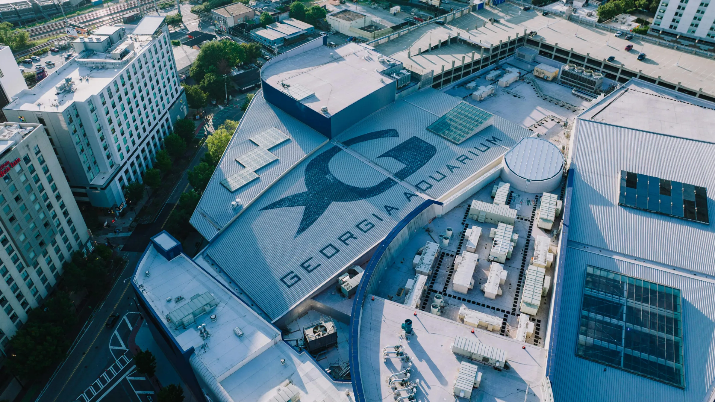 Georgia Aquarium Ocean Voyager tunnel with whale sharks