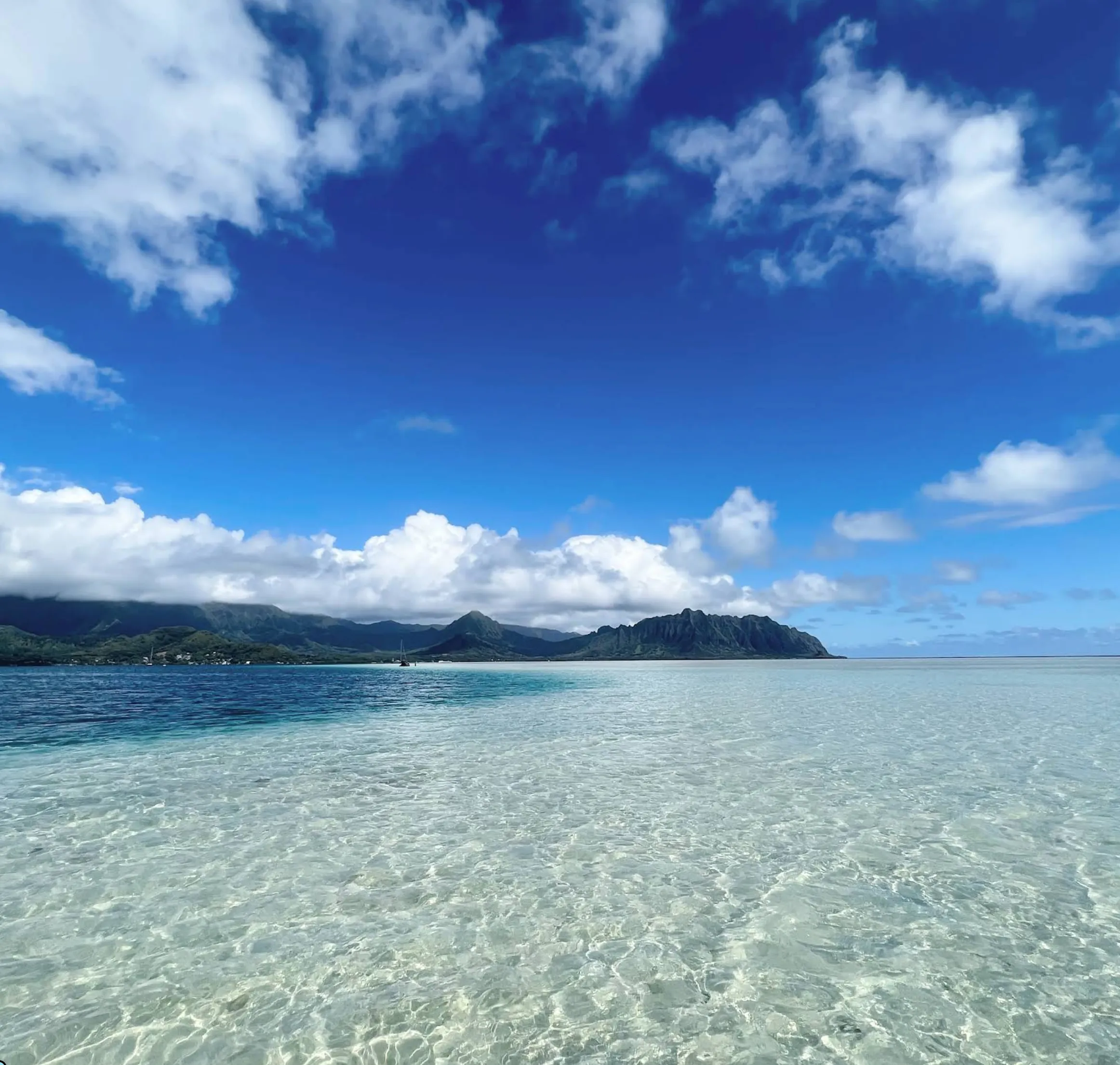 Image: Family walking boardwalks through native plants at a botanical garden