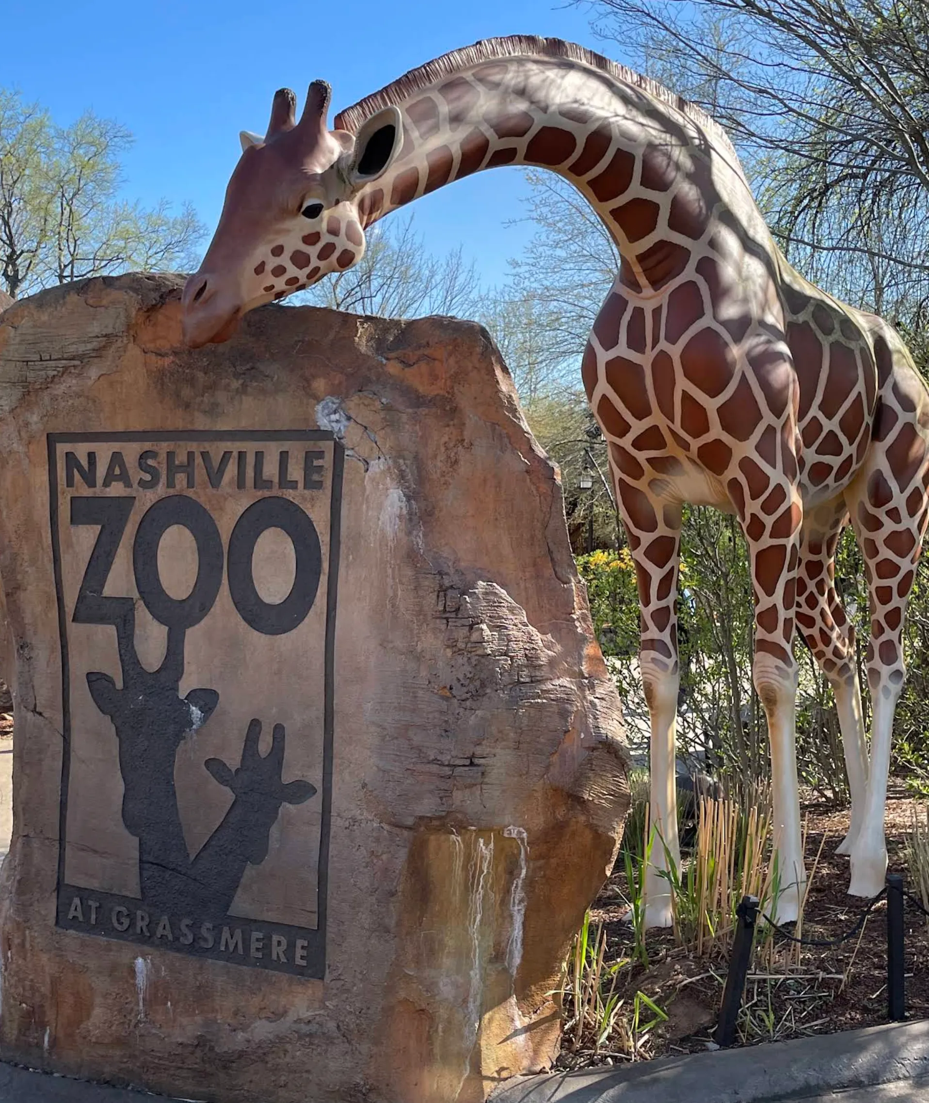 Image: Kids watching giraffes at the Nashville Zoo