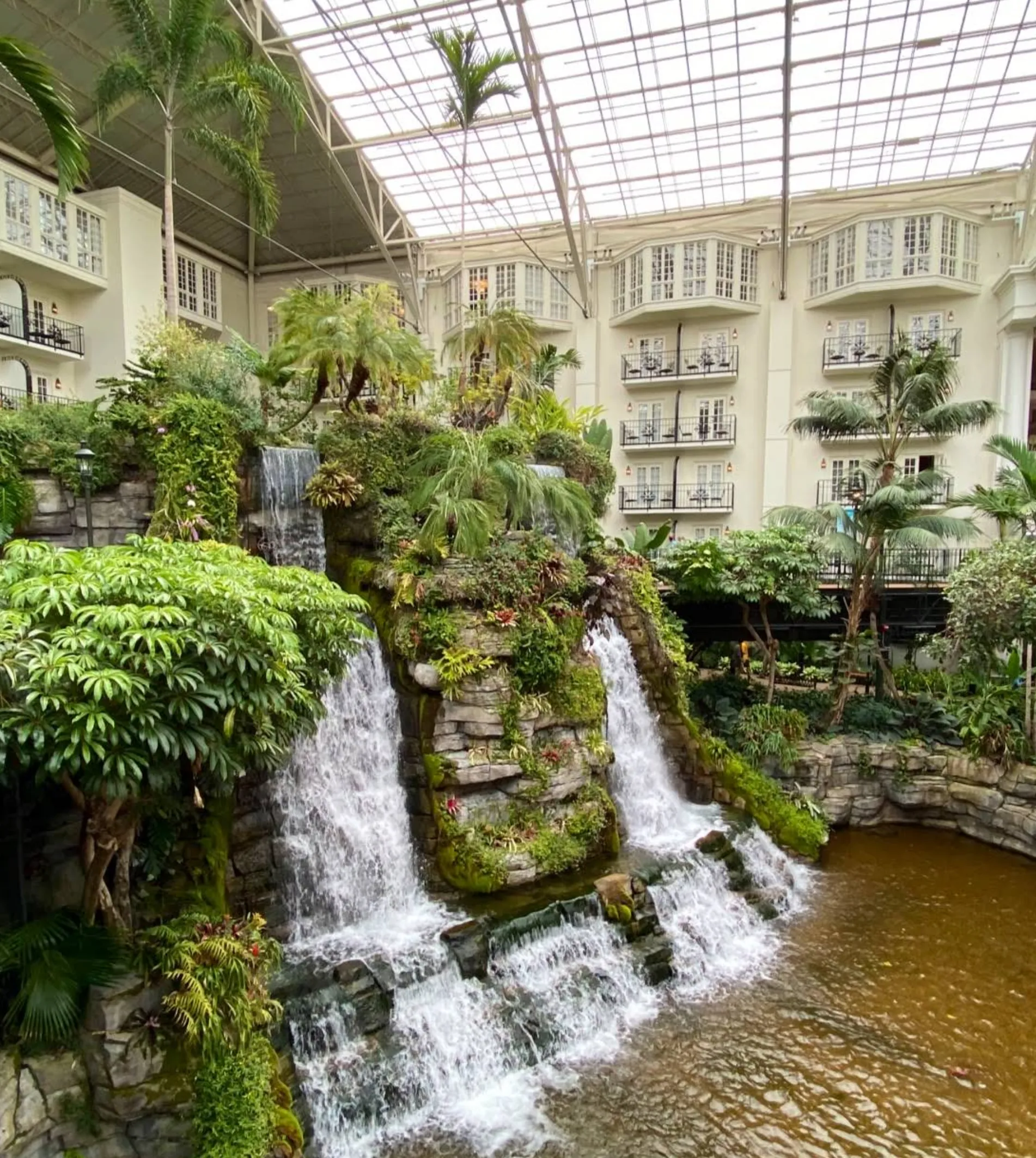 Image: Kids looking over a railing at the indoor gardens and water features inside Gaylord Opryland