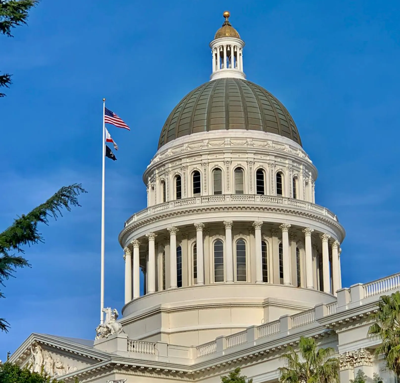 Capitol dome and lawns